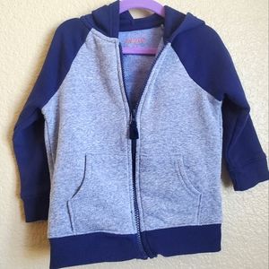 Unisex Toddler Zip Hoodie 2T